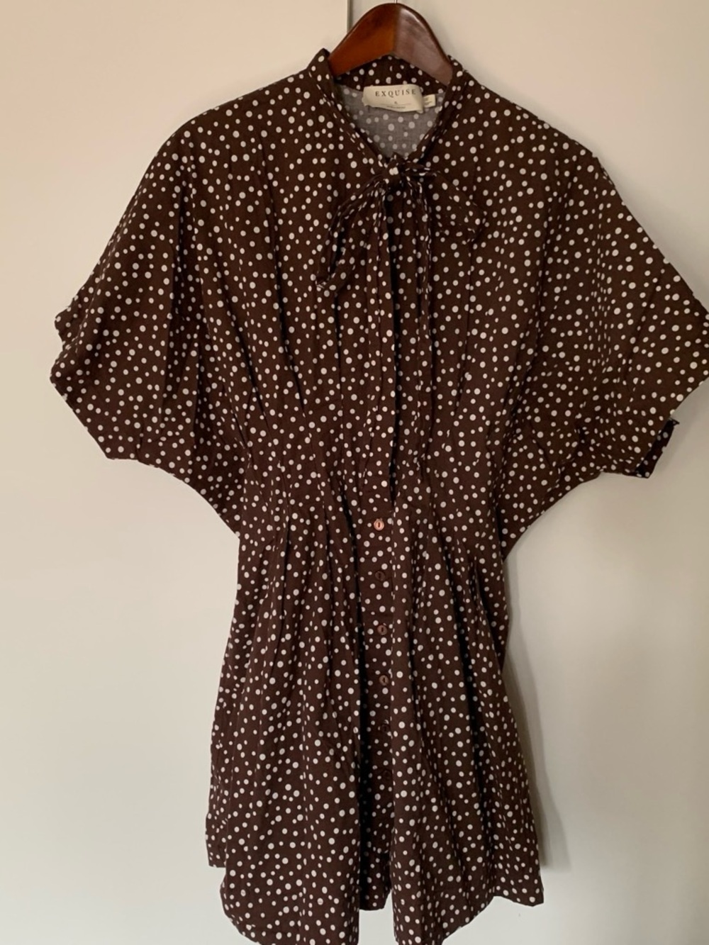 Anthropology Exquise Tobie Brown Polka Dot Tie-Neck Women's Dress